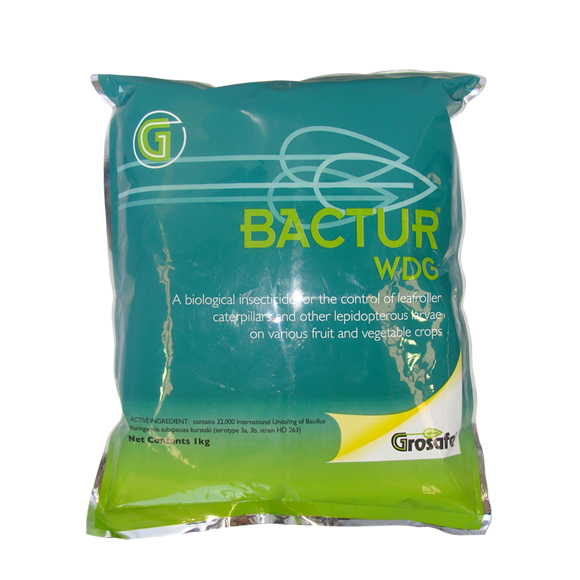 Hortcare® Bactur® WDG - Insecticide