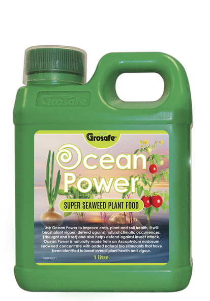 OceanPower® - 1 Litre