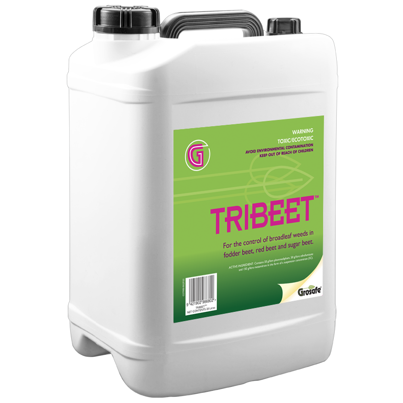 TriBeet