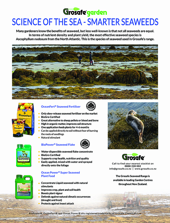 NZ Gardener Smarter Seaweed Producing Superior Results